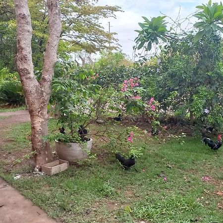Chacara Pousada Sagui Cuiabá Buitenkant foto